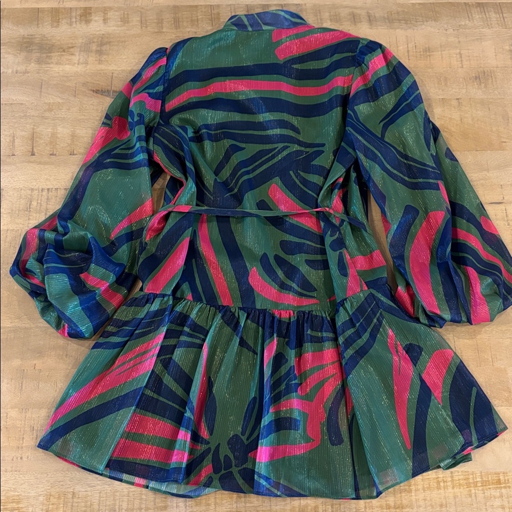 Alden Adair Adele Dress Drop Waist Balloon Sleeve Gorgeous! NEW NWT Large - Picture 12 of 12